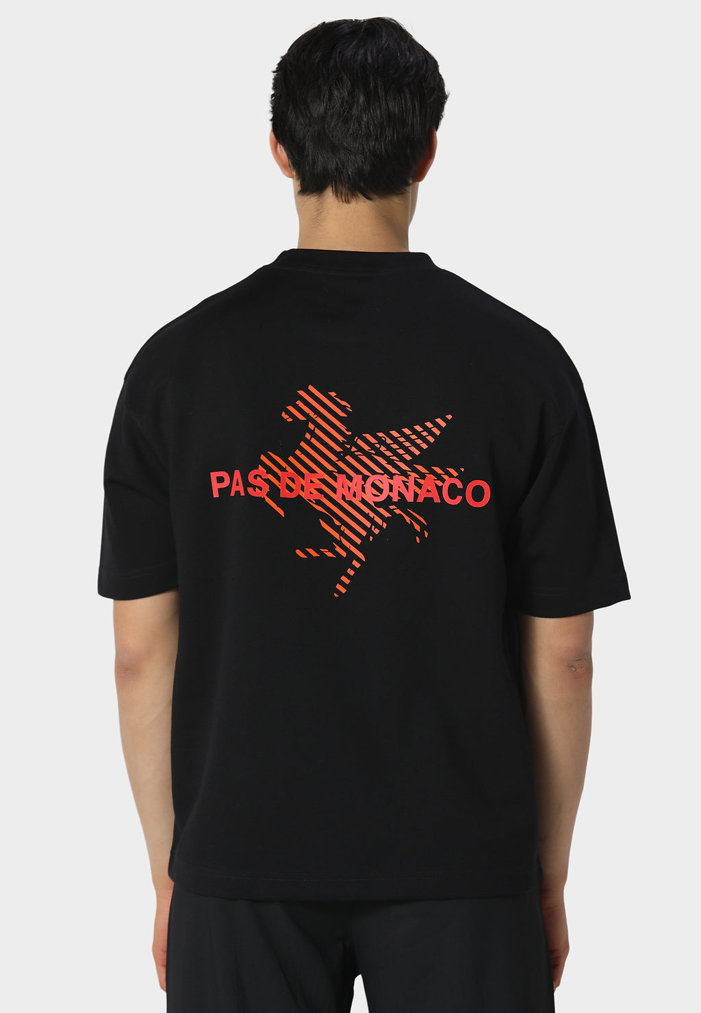 Pegaus Chevron Black T-Shirt