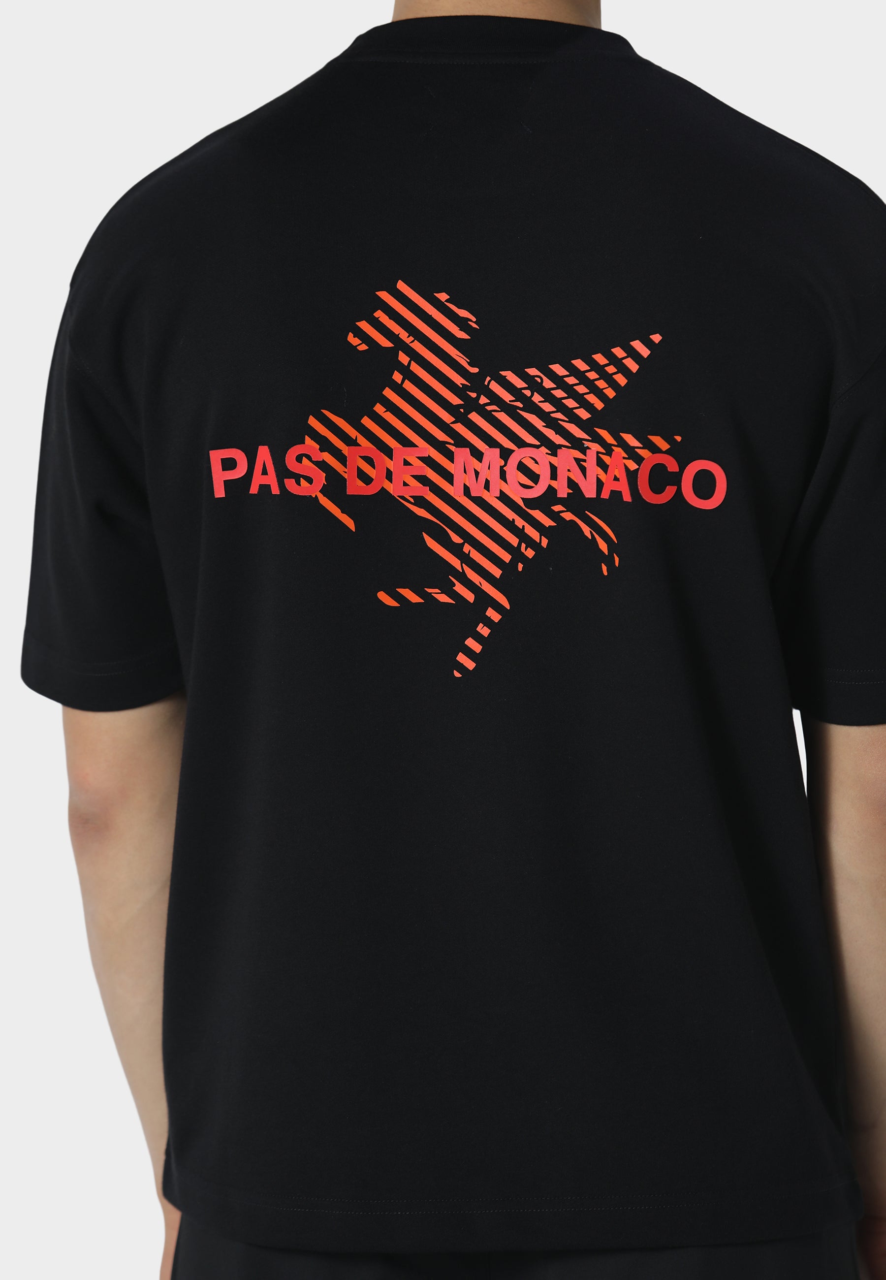 Pegaus Chevron Black T-Shirt