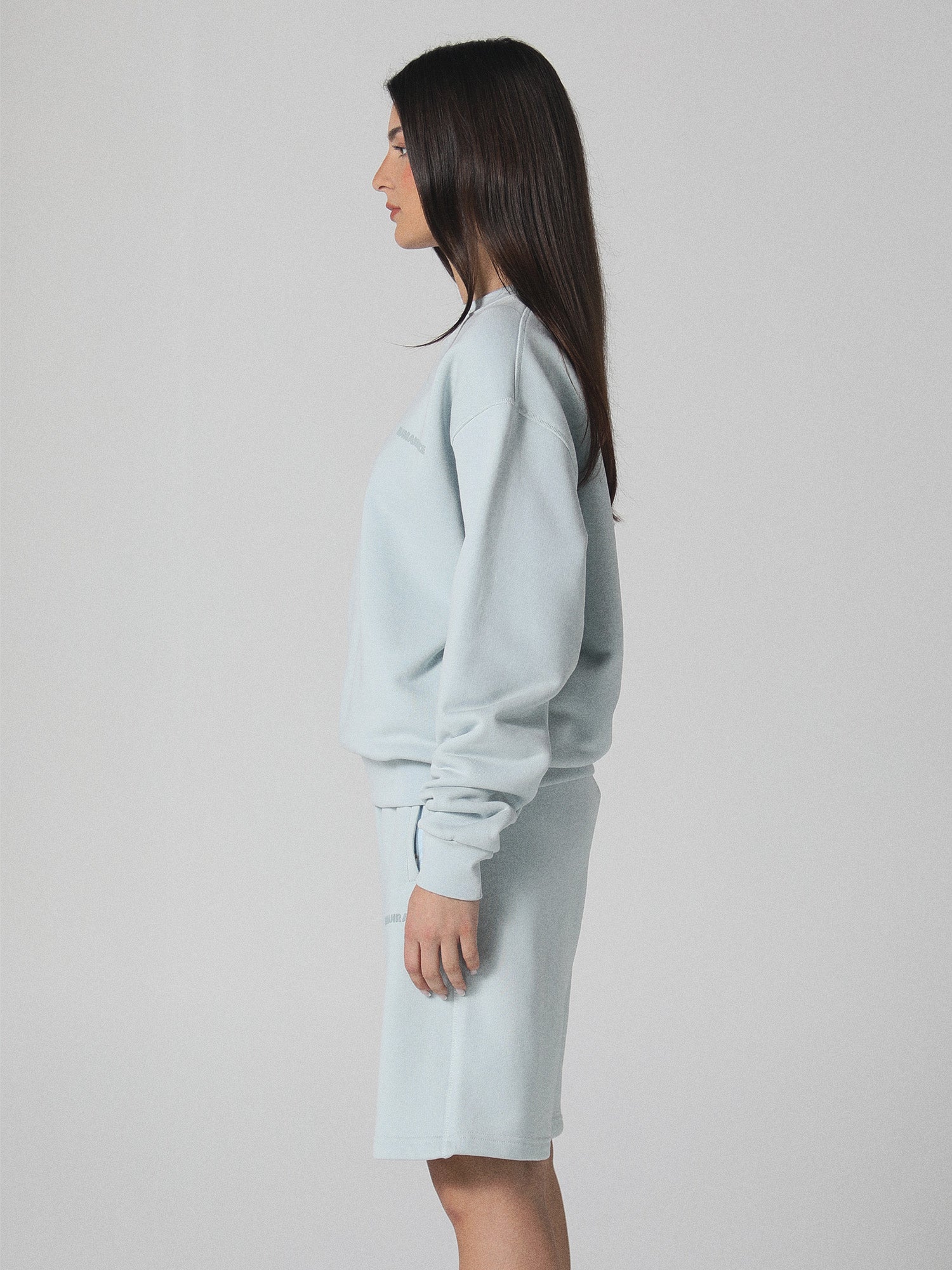 World Crewneck in Soft Blue